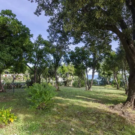 Altido Superb With View&garden In Arenzano, 10 Sleeps